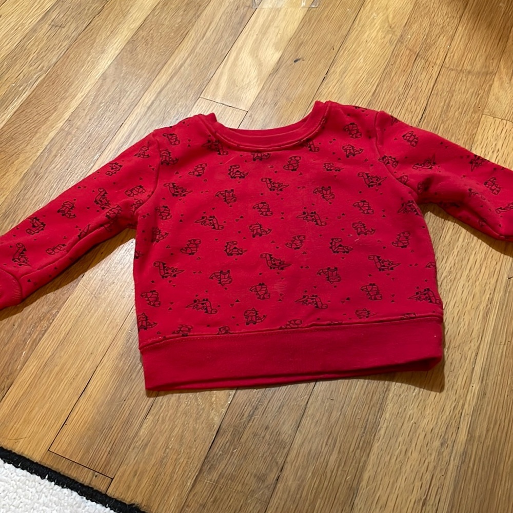 Red dinosaur sweater 12 M